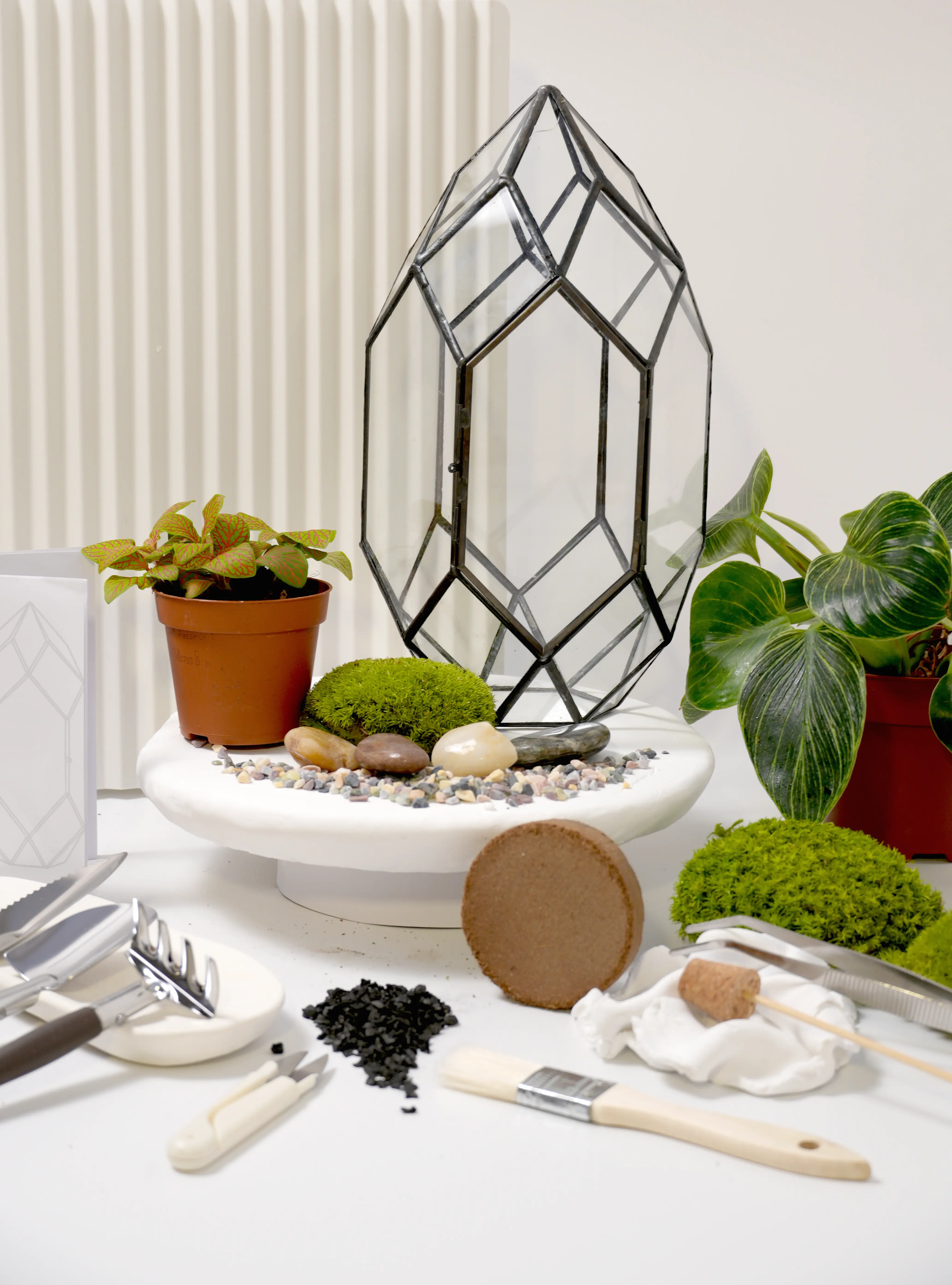 Kit terrarium Lush Sphere avec tous les éléments