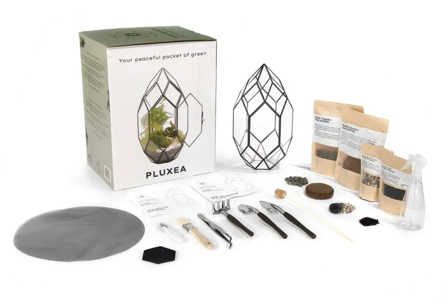 Kit terrarium complet