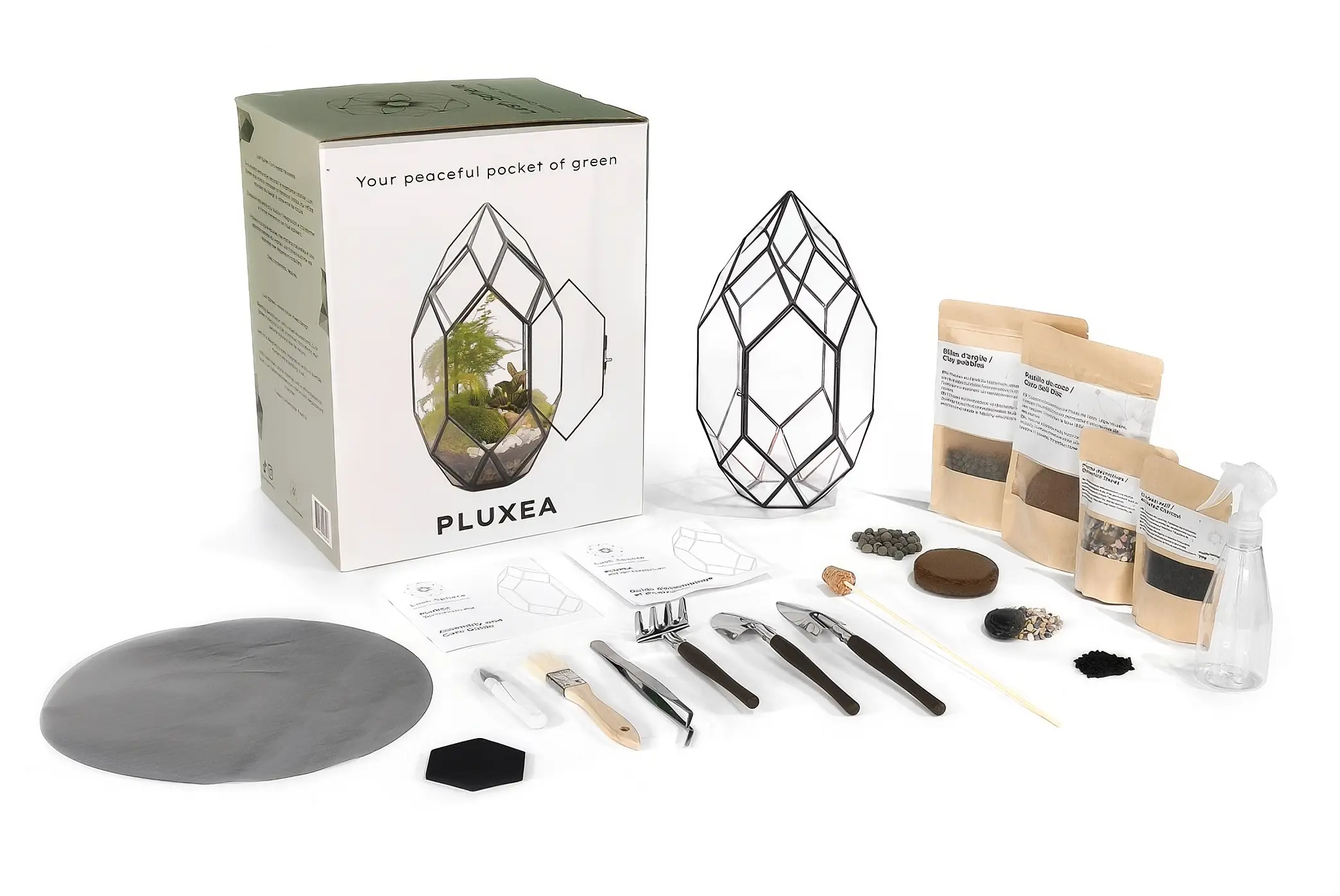 Kit terrarium complet