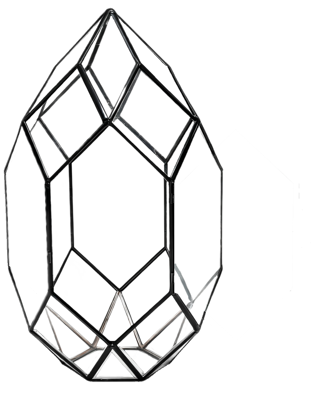 Terrarium