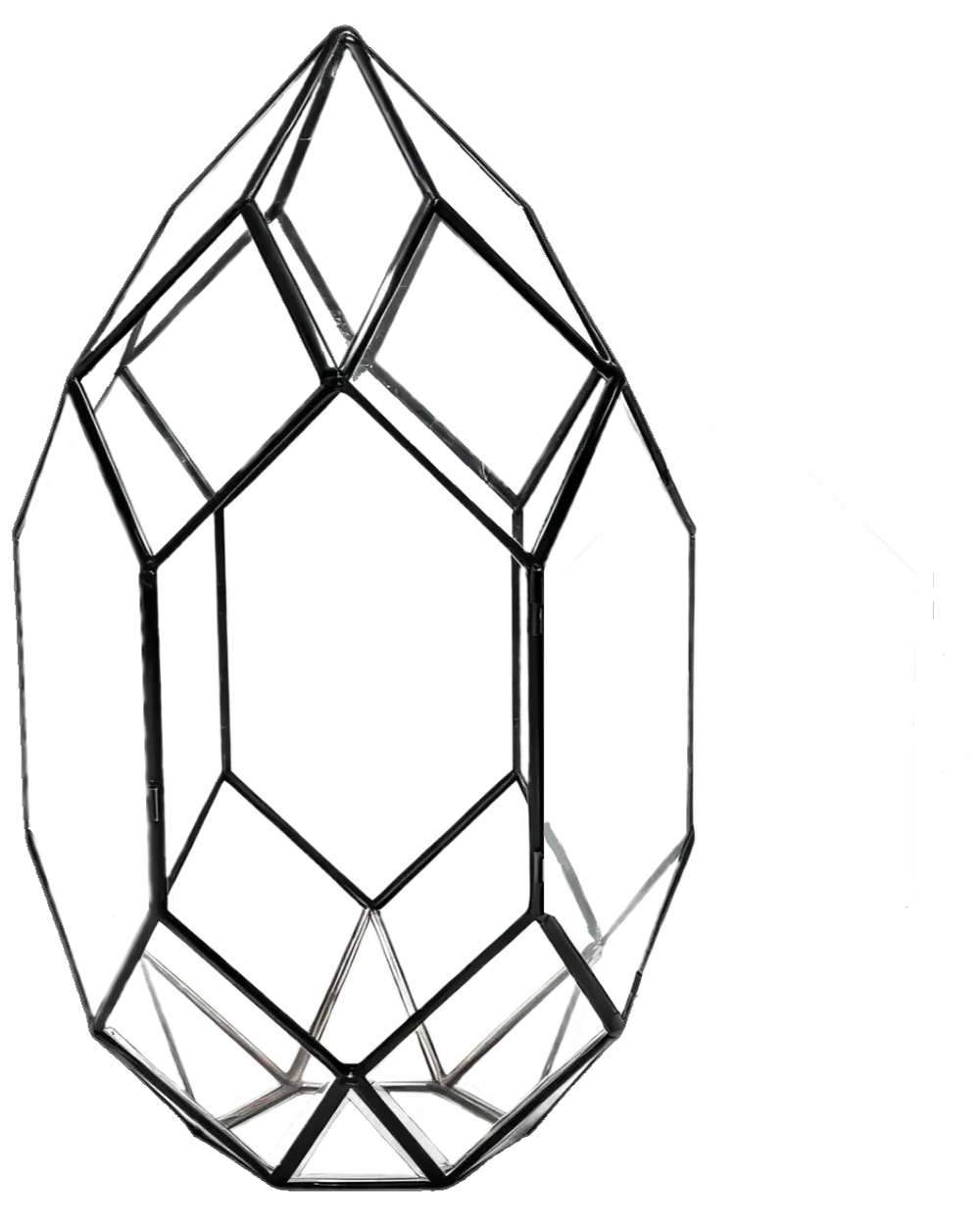 Terrarium