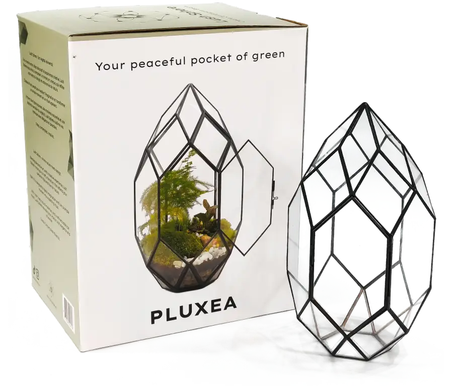 PLUXEA