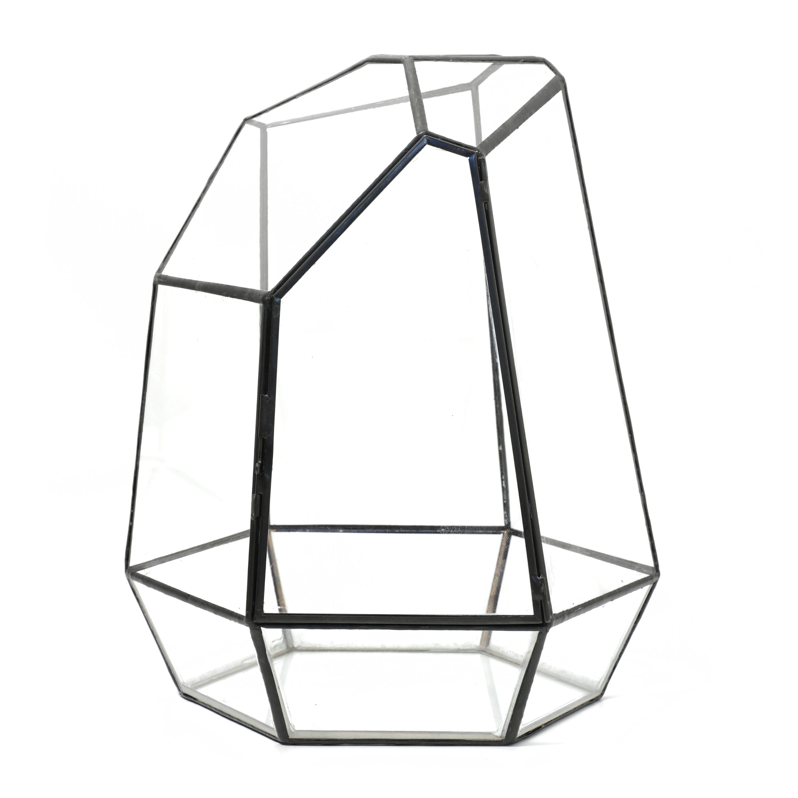 The Terrarium