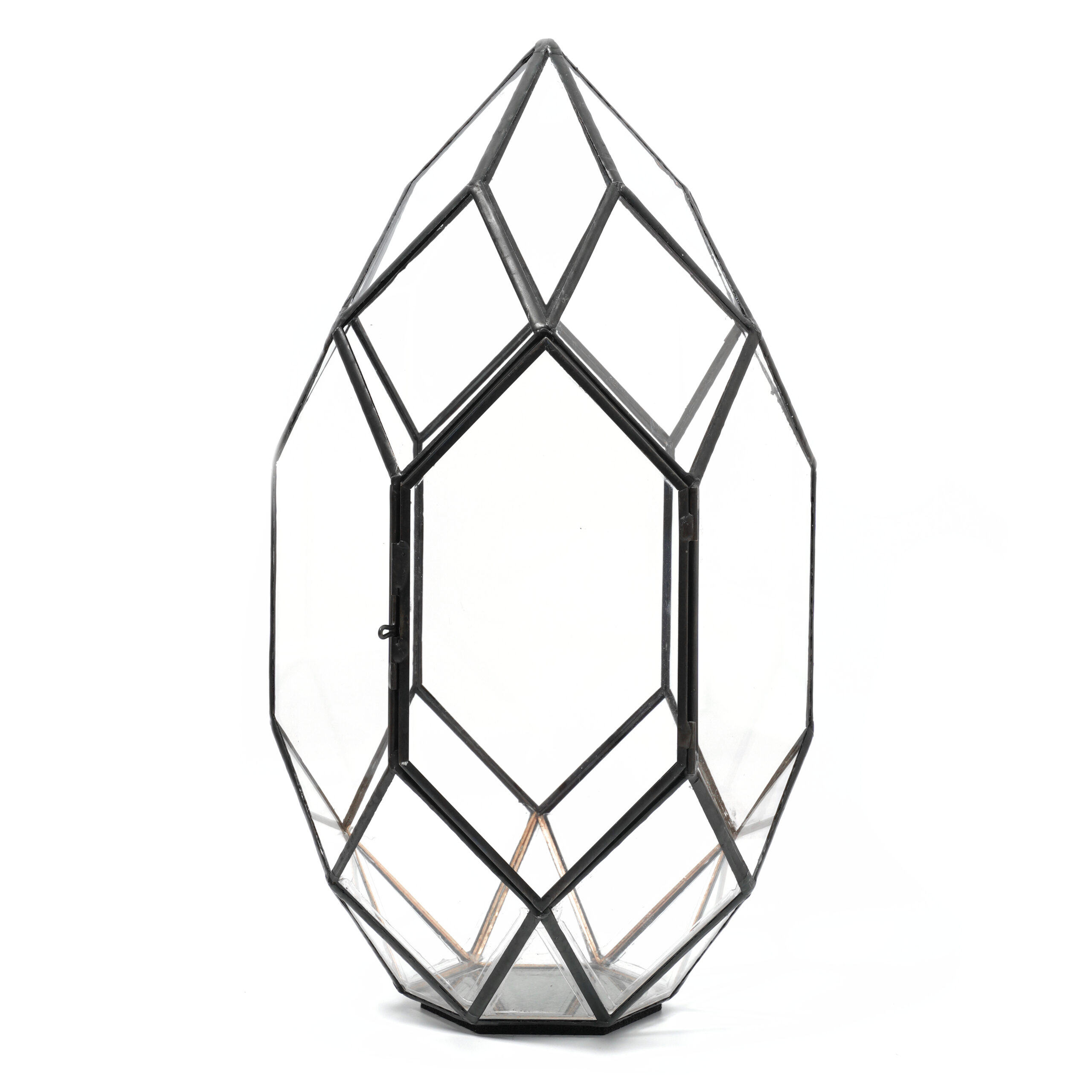 The Terrarium
